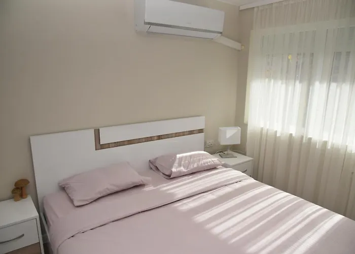 דירה C&a גוצה דלצ'ב